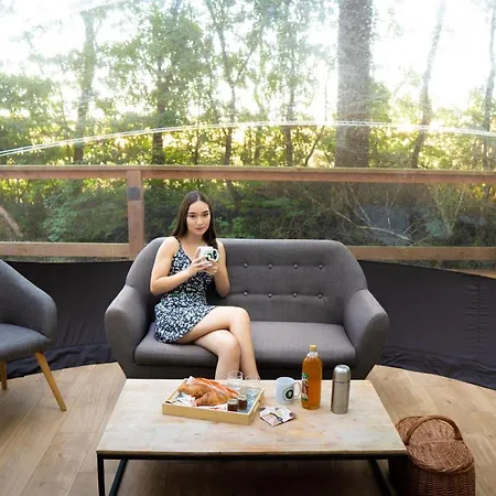 Chrysalide Saint Martin Couette-café