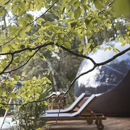 Couette-café Chrysalide Saint Martin