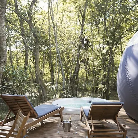 Chrysalide Saint Martin Nérac