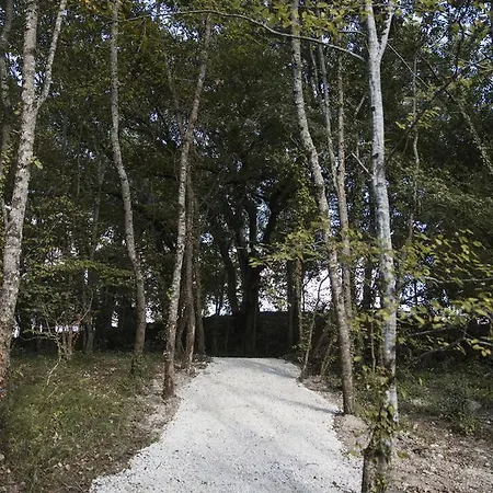 Couette-café Chrysalide Saint Martin