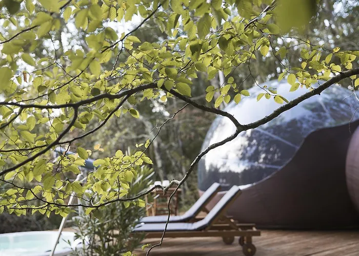 Bed and Breakfast Chrysalide Saint Martin