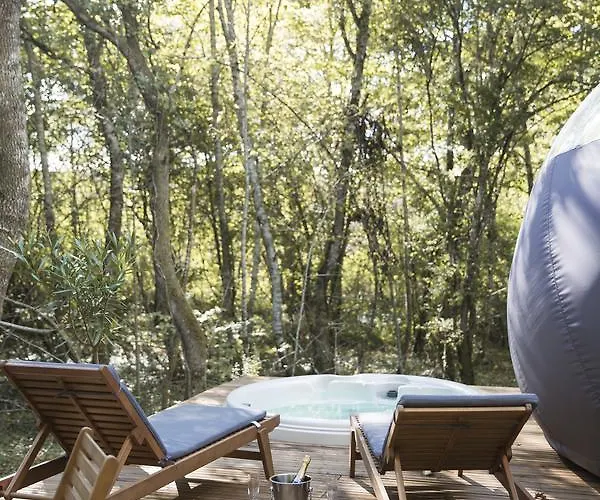 Chrysalide Saint Martin Nérac