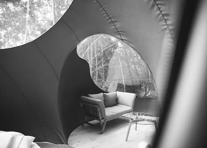 Chrysalide Saint Martin Nérac