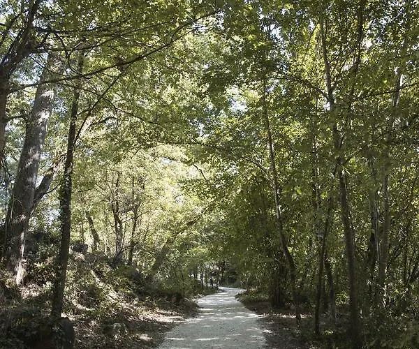 Chrysalide Saint Martin Bed and Breakfast 3*