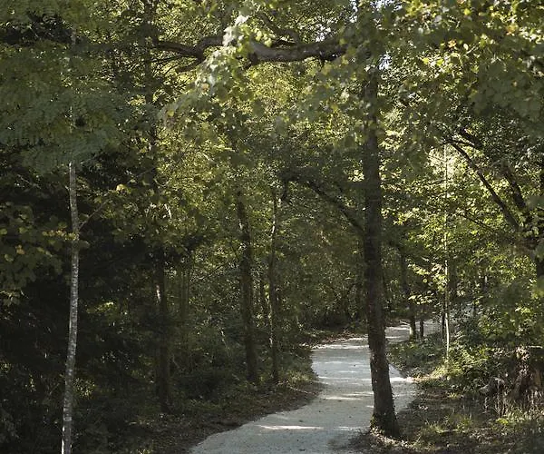 Bed and Breakfast Chrysalide Saint Martin 3*